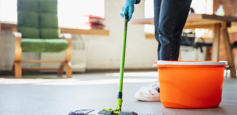 Prodotti pulizia casa di Perfetto