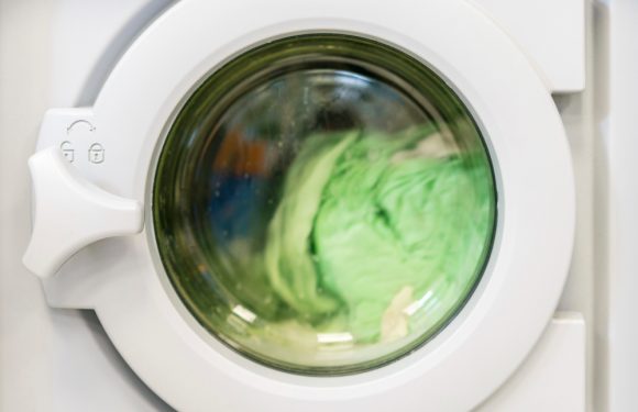 Ultrasuoni Moroni SRL: Mezzo secolo di innovazione nelle lavatrici ad ultrasuoni