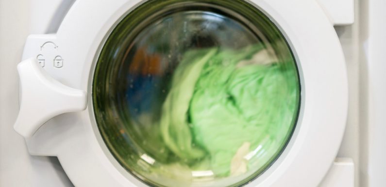 Ultrasuoni Moroni SRL: Mezzo secolo di innovazione nelle lavatrici ad ultrasuoni