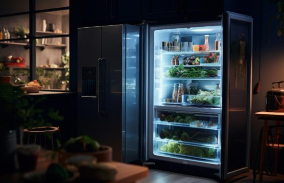 Frigoriferi Professionali per Ristoranti: un Tassello Fondamentale per la Conservazione Ottimale dei Cibi