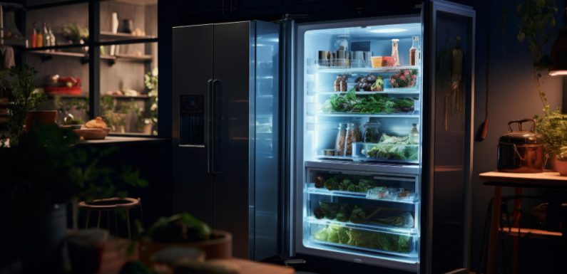 Frigoriferi Professionali per Ristoranti: un Tassello Fondamentale per la Conservazione Ottimale dei Cibi