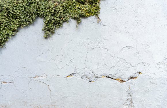 I Segnali da Non Ignorare: Come Riconoscere le Crepe Pericolose sui Muri