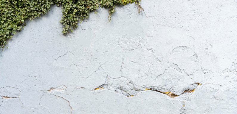 I Segnali da Non Ignorare: Come Riconoscere le Crepe Pericolose sui Muri