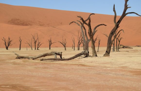 Esplorando il Sudafrica: Un viaggio attraverso i suoi deserti indimenticabili