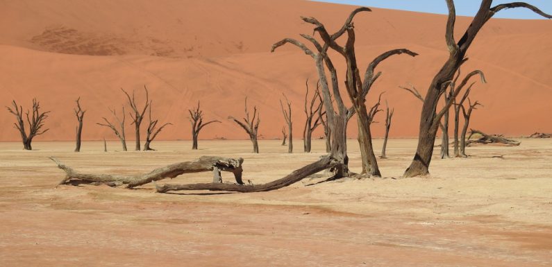 Esplorando il Sudafrica: Un viaggio attraverso i suoi deserti indimenticabili