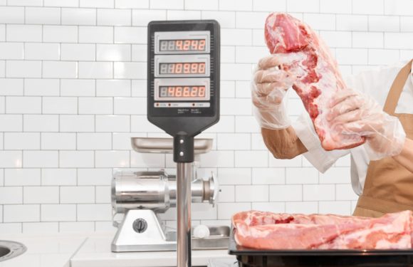 Check Weighers: Caratteristiche e Funzionamento dei Sistemi di Pesatura Dinamica