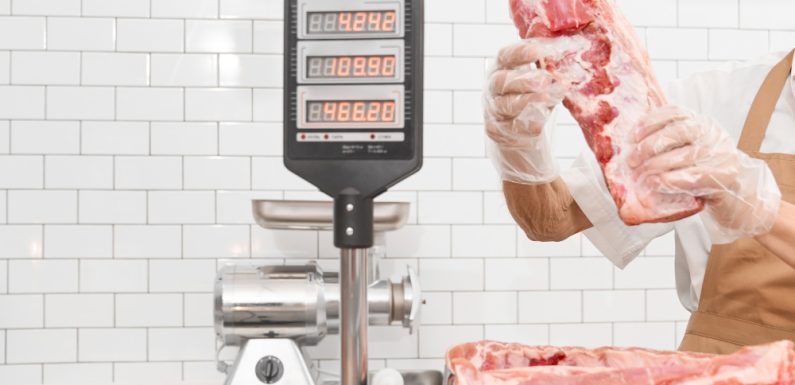 Check Weighers: Caratteristiche e Funzionamento dei Sistemi di Pesatura Dinamica