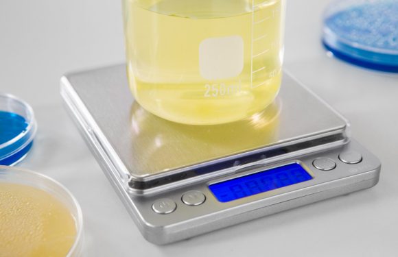 “Bilance di Precisione Professionali: Strumenti Indispensabili per il Tuo Laboratorio”